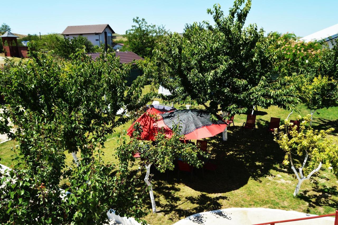Pensiunea Zelezneac Hotel Băltenii de Sus Екстериор снимка