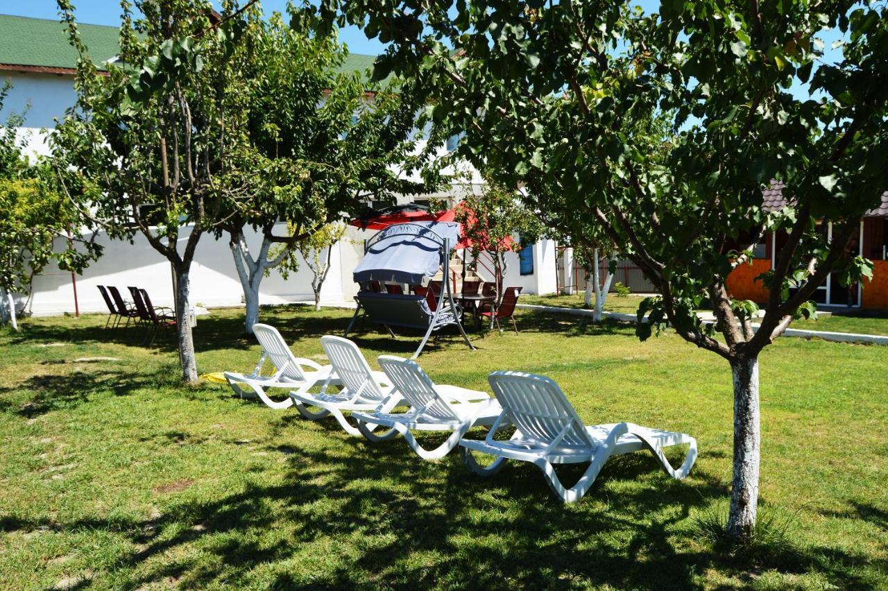 Pensiunea Zelezneac Hotel Băltenii de Sus Екстериор снимка