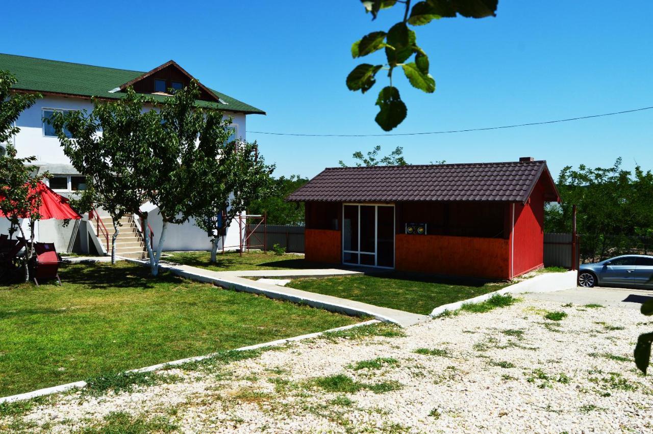 Pensiunea Zelezneac Hotel Băltenii de Sus Екстериор снимка